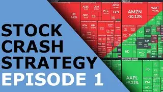 Stock Market Crash Strategy | Michael Jay Ep. 1