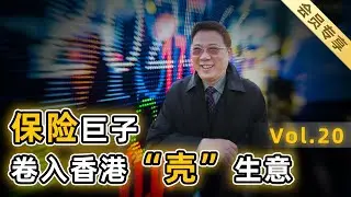 【会员专享20】上集：联手资本掮客，多次买卖空壳，频繁资本腾挪，保险巨子左手倒右手，三年亏光300亿