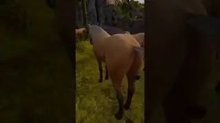 Sorry bro