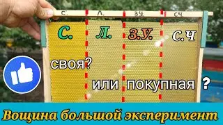ВОЩИНА ДЛЯ ПАСЕКИ - эксперимент от А до Я.