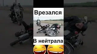 Все залутали 5/5 дропов, а тебе помешали! - Will To Live Online  #вил#willtoliveonline  #willtolive