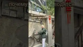 Почему люди стали разводиться? 