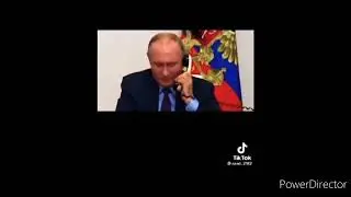 Why Vladimir Putin's Actions Will Shock You!