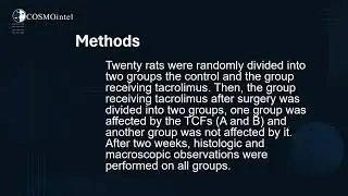 Effect of Taheri Consciousness Fields on Skin Allograft Survival in Rats