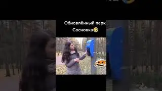 Обновлённый парк Сосновка🤣 