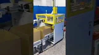 Máquina automática de sellado, llenado y sellado de cajas multi rollo maxi personalizada