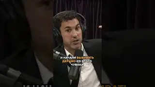 когда проехал свою станцию в Бруклине #маркнорманд #джороган #юмор #лëсик