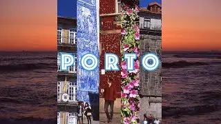 Trams, cats and pastries of Porto town