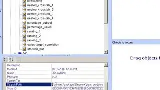 BSP MetaManager   Using the Advanced Search Path
