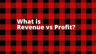 What is Revenue vs Profit?