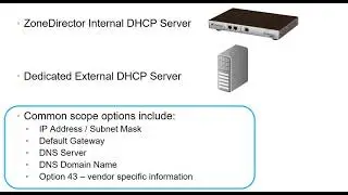 DHCP, DHCP Option 43 and DNS Considerations