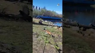 Улетай на крыльях ветра 