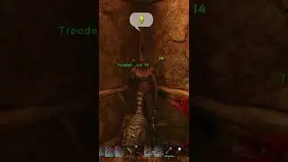 Trap Triumph