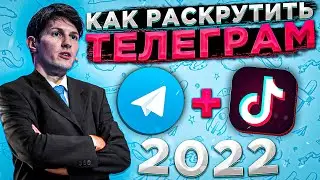 Как раскрутить ТЕЛЕГРАМ через ТИК-ТОК? Как вставить ссылку в ТИК-ТОК?