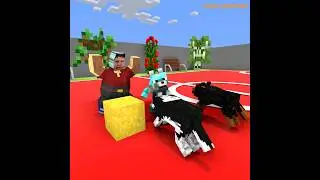 Please help the dog win Nikocado