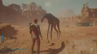 (PS5) Star Wars Jedi Survivor: #14 - Hidden Path History, Windy Paths