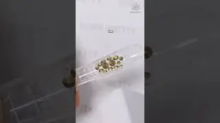 Rhinestone Extension Nail Art| BORN PRETTY