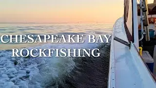 Chesapeake Bay Rockfish Catch & Cook