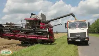 Начало положено! Уборка пшеницы.