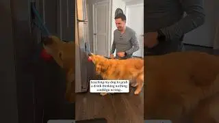 I made a BIG dog training mistake 😬