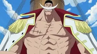 THE ONE PIECE IS REAL!!! (MEME)