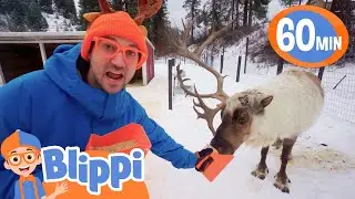Reindeer Farm | Fun with Blippi! | Blippi Educational Songs for Kids