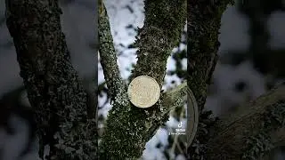 Міні коп 🍀 
