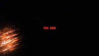 Biggest Jumpscare of my life