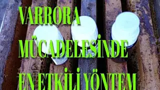 Varrora Mücadelesinde En Etkili Yöntem detaylı anlatım ne fayda
