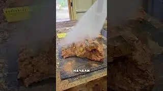 Русские Шахтёры нашли драгоценность и бросили работу 🤯💰