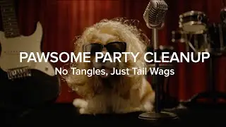 Roborock Qrevo Curv | Pawsome Party 🐾