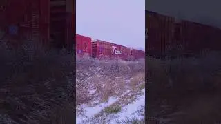 Canadian Pacific Holiday Train Rolls Through Illinois 