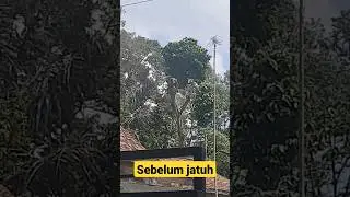 Menegangkan|| detik-detik sebelum jatuh 