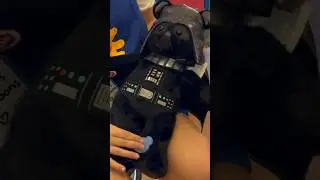 Darth Vader Build-A-Bear 🔥#darthvader #starwars #buildabear #disney #wanderingvader
