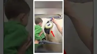 Зачем коровам дырки?