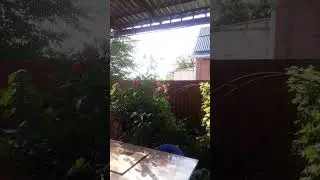 Доброе утро всем!