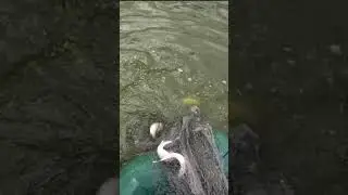 Супер судачки!!! 