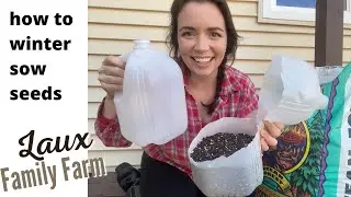 How to Winter Sow Seeds- Milk Jug Method- Laux Family Farm