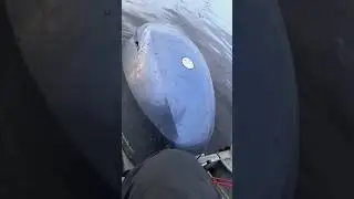 НАЛИМЫЧ!
