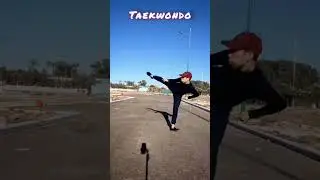 Таеквондо Стэп+Пандэ дольо чаги на встречу