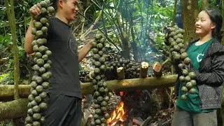 Harvesting wild Dac seeds: how to cook a super delicious dish from Dac seeds