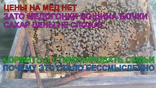 С такой ЦЕНОЙ НА МЁД про ваши МЕДОГОНКИ ВОЩИНУ БОЧКИ и прочее. Про НЕВЫГОДНУЮ СТИМУЛЯЦИЮ СЕМЕЙ ✅🍯🐝