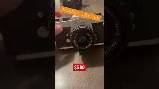 Amazing deal ! Pentax Spotmatic with Domiplan Lens 