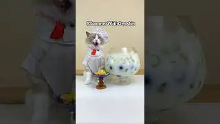 😋Enjoy this summer feast with Puff and Genshin | That Little Puff