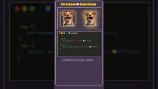 Box Shadow VS Drop Shadow in CSS 