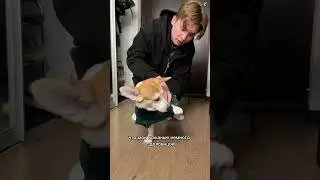 Самая модная булка на районе | собирайся со мной версия на прогулку 