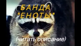 ОПГ «Еноты» - Банда воров - (Читать описание) - Вит Следопыт