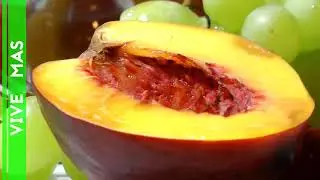 10 Alimentos que ayudan a regenerar el cartílago de la rodilla.Alimentos para regenerar cartilagos