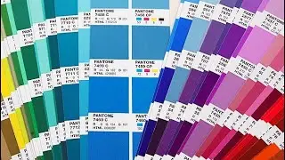 What are Pantone Colors?: The Guide to Color Consistency in Design