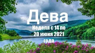 Дева. Таро-прогноз на неделю с 14 по 20 июня 2021 года.